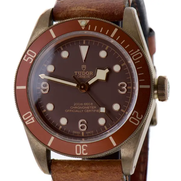 Tudor Black Bay