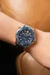 Omega Seamaster Diver 300M 210.30.42.20.03.001 Price in Australia | $7k thumbnail 12