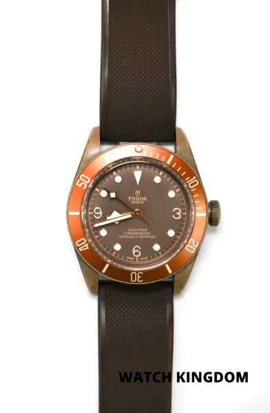 Tudor Black Bay