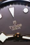 Tudor Black Bay (2018) - Ref. 79250BM | Watch Scout thumbnail 2