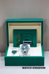Rolex Datejust 41 (2026) - Ref. 126300 | Watch Scout thumbnail 9