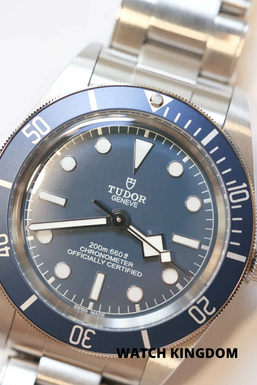 Tudor Black Bay 79030B Price in Australia | $6k, 2023 Mint - image 2