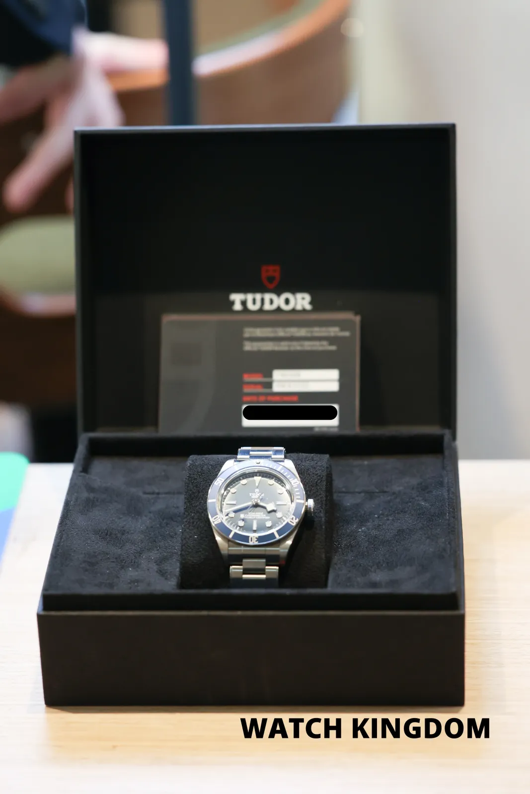 Tudor Black Bay 79030B Price in Australia | $6k, 2023 Mint - image 7