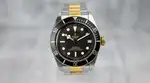 Tudor Black Bay (2019) - Ref. M79733N-0004 | Watch Scout thumbnail 1